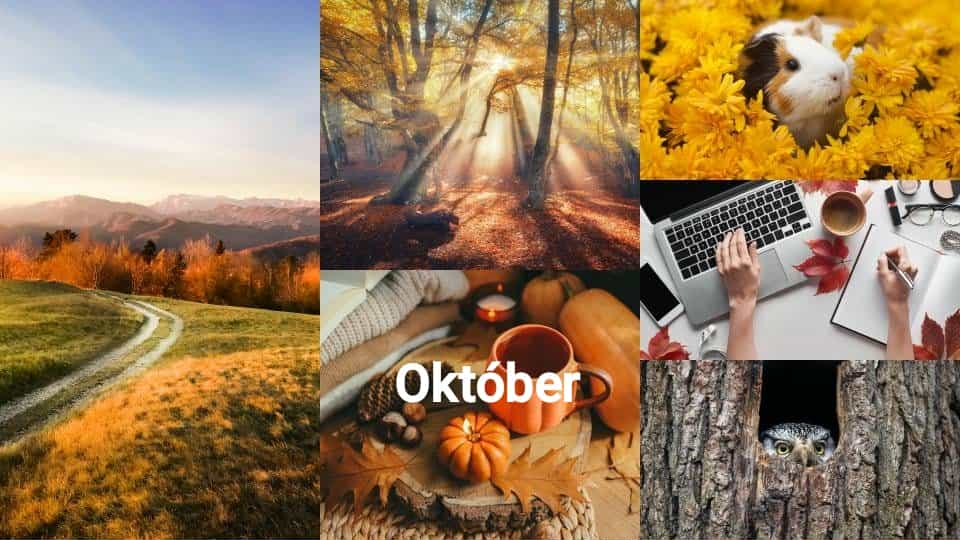 Szabad Időpontok: 2025. Október: